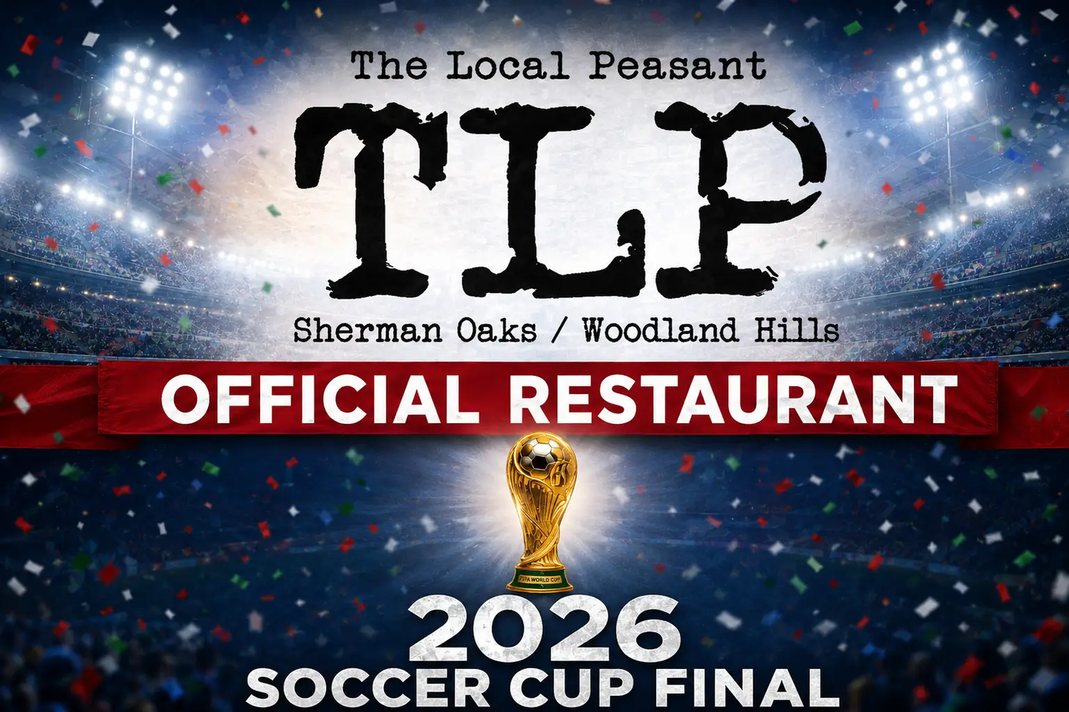 world cup final